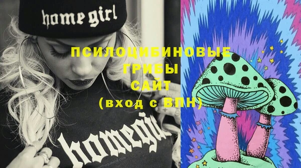 крисы Майский