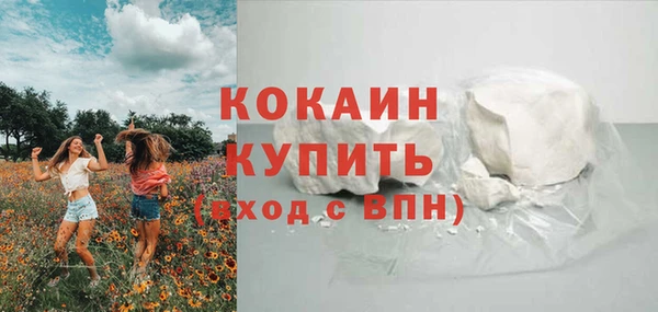 крисы Магадан