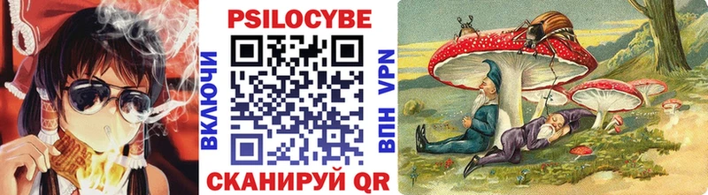 Купить закладки  Одинцово  Галлюциногенные грибы Magic Shrooms 